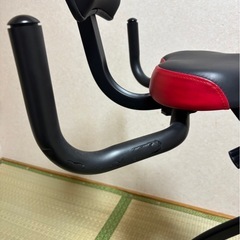 アルインコ フィットネスバイク クロス レッド AFBX4621Rの画像