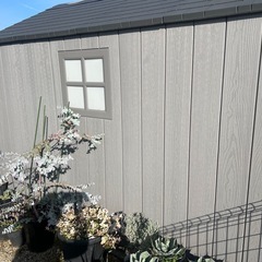 コストコ倉庫・ライフタイム・屋外用・物置・倉庫の画像