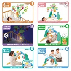 美品プーメリーの画像