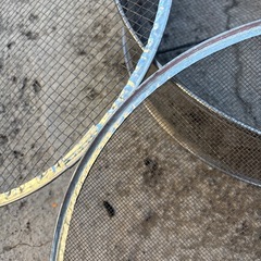 砂？の選別　豆や石ころなど！の画像