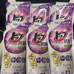 洗濯洗剤　ミニボトルと詰め替えの画像