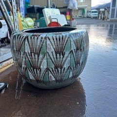 火鉢、メダカの水槽の画像