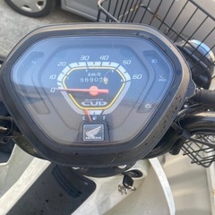 カブプロ50の画像