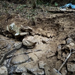 沢の水が枯れて、池の魚が死にそうなので、助けてください！