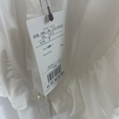 ブラウス (試着のみ)の画像