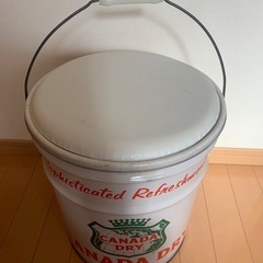 KANADA DRY スチール缶の画像