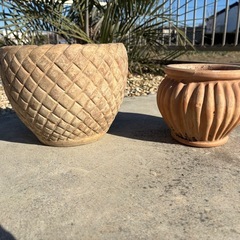 陶器の鉢　鉢植えの画像