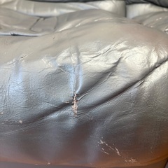 ◆無料◆2人掛けソファ◆埼玉県所沢市まで引き取りに来ていただける方の画像