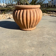 陶器の鉢（大）植木鉢の画像