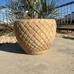 陶器の鉢（大）植木鉢の画像