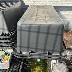 値下げ❗️めだか飼育容器の画像