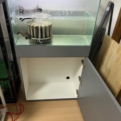 ADA風特注品水槽台 グレー 60cm規格ガラス水槽 オマケでLED付き ‼️の画像