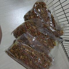 ワンちゃん用(子犬用)愛犬元気ごはんとおまけ付きの画像