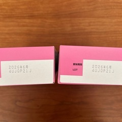 アイクレオ　スティック19本の画像