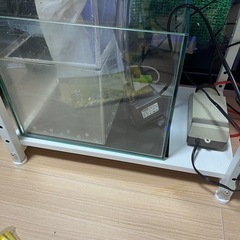 海水魚オーバーフローガラス水槽 セットの画像