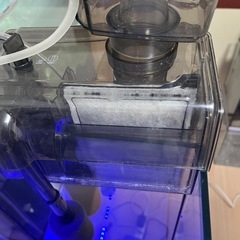 海水魚オーバーフローガラス水槽 セットの画像