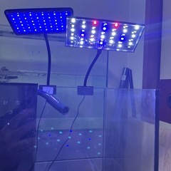 30cmキューブオーバーフローガラス水槽 LED2個 エーハイム水中ポンプ‼️の画像