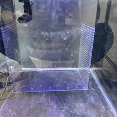 30cmキューブオーバーフローガラス水槽 LED2個 エーハイム水中ポンプ‼️の画像