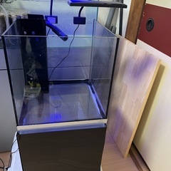 30cmキューブオーバーフローガラス水槽 LED2個 エーハイム水中ポンプ‼️の画像