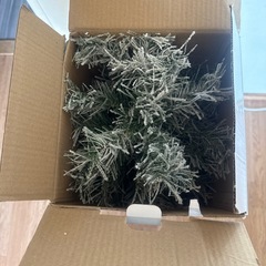 クリスマスツリーの画像