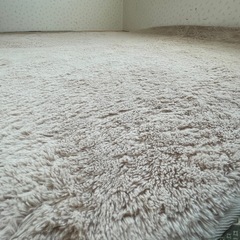 取引中【7.8日限定出品！】 ニトリ スペースラグ ベージュ 200×240 の画像