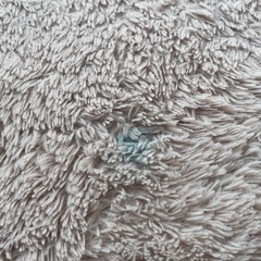 取引中【7.8日限定出品！】 ニトリ スペースラグ ベージュ 200×240 の画像