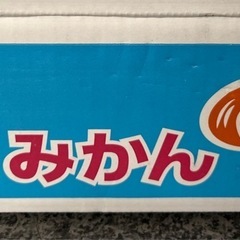 香川鬼無みかん1箱の画像