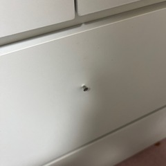 決まりました。ニトリで購入した収納棚の画像