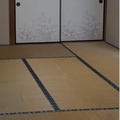まだまだ使える畳　23枚の画像