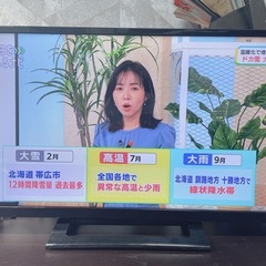 2020年製 TOSHIBA 東芝 REGZA レグザ 液晶テレビ 24S24 24V型ハイビジョン　＋　外付けポータブルハードディスクの画像