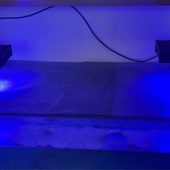 海水水槽　ADA 120cm　生体込み　 の画像