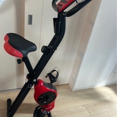 STEADY エアロバイクの画像