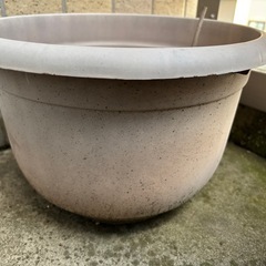 【12月14日まで限定無料】鉢植えセットの画像