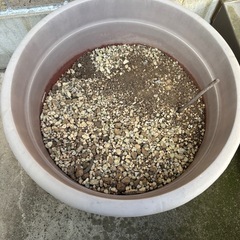 【12月14日まで限定無料】鉢植えセットの画像