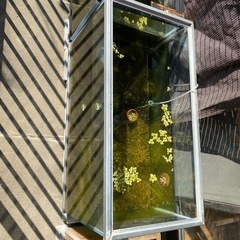 水槽　900　の画像