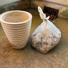 【12月14日まで限定無料】鉢植えセットの画像