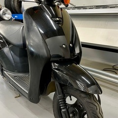 トゥデイ　原付　実動の画像