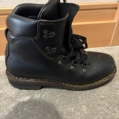 ガエルネ フーガ 26.0 クリーム付きの画像