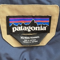 patagonia ダウンジャケットの画像