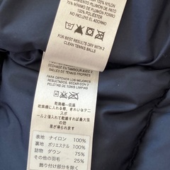 patagonia ダウンジャケットの画像