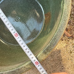 受け渡し決まりました 睡蓮鉢　陶器　差し上げますの画像