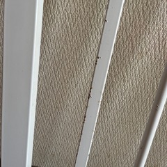 KATOJI ベビーゲートの画像