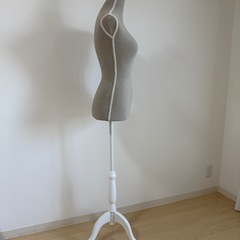 トルソー・レディースの画像