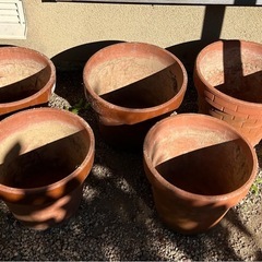 植木鉢貰ってくださいの画像
