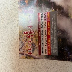 長島温泉　遊園地+湯あみの島入場券5枚セットの画像