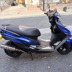 シグナス4型の画像