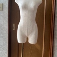 ボディ　人体　トルソーの画像