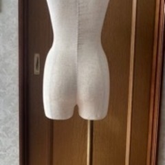 ボディ　人体　トルソーの画像