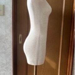 ボディ　人体　トルソーの画像