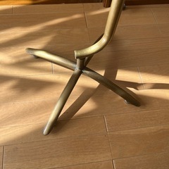 ボディ　人体　トルソーの画像